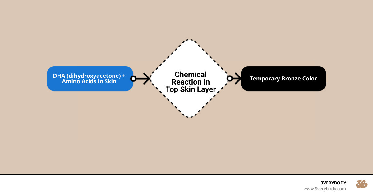 Infographic showing DHA reaction process: DHA molecule + amino acids in top skin layer = temporary bronze color that develops over 4-6 hours and lasts 3-5 days; includes simple icons of a drop, skin layers, and a clock; brown background with cream text - best self tanner face infographic flowmap_simple