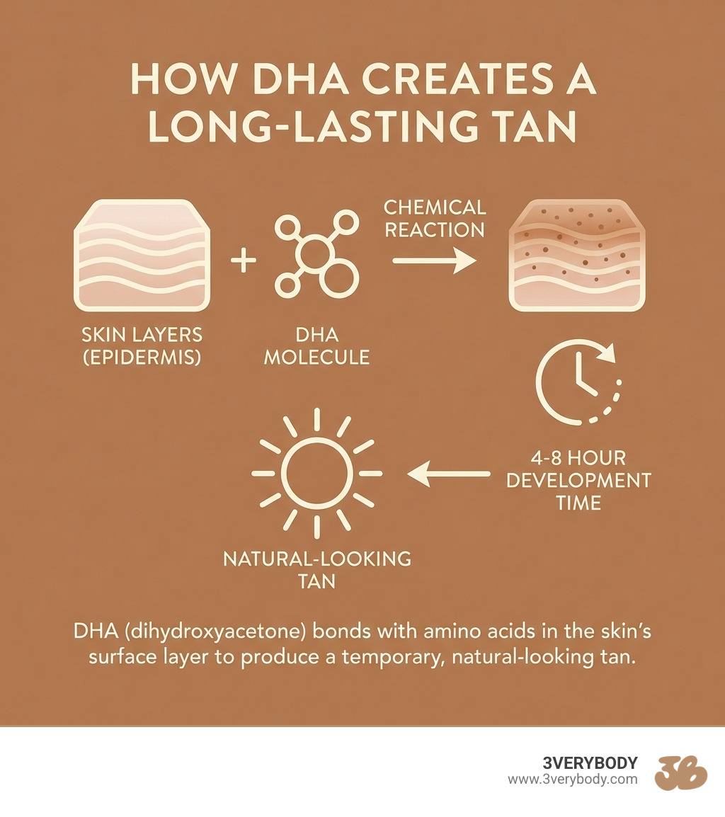 infographic showing how DHA reacts with skin amino acids to create a tan, featuring cream text on brown background with simple icons of skin layers, DHA molecule, and a clock showing 4-8 hour development time - best long lasting sunless tanner infographic 