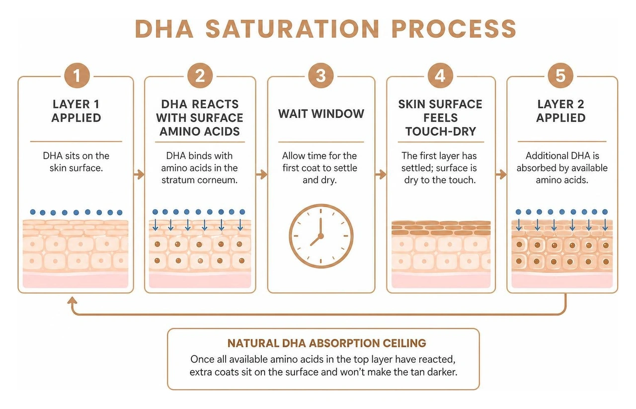diagram of the dihydroxyacetone saturation process on skin cells diagram of the dihydroxyacetone saturation process on skin cells