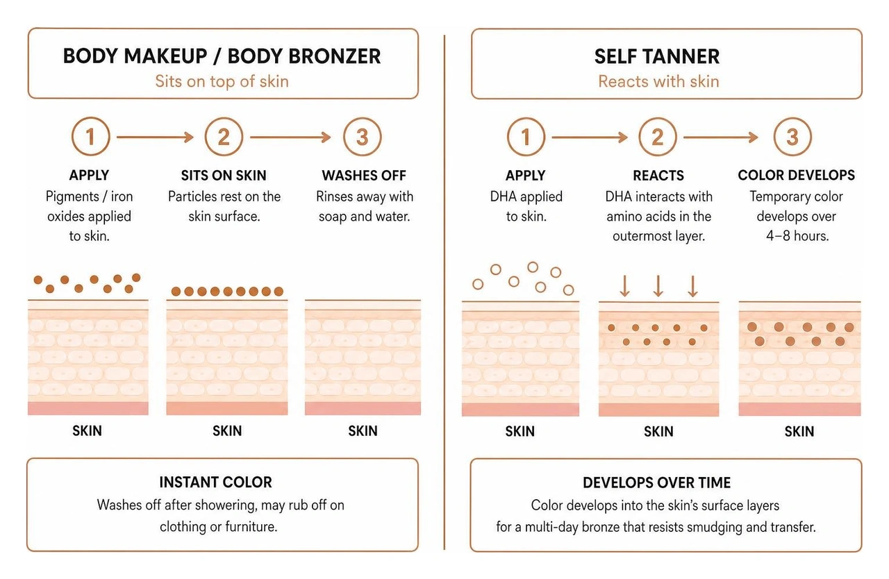 Diagram showing how body makeup sits on skin vs how self tanner reacts with skin Diagram showing how body makeup sits on skin vs how self tanner reacts with skin