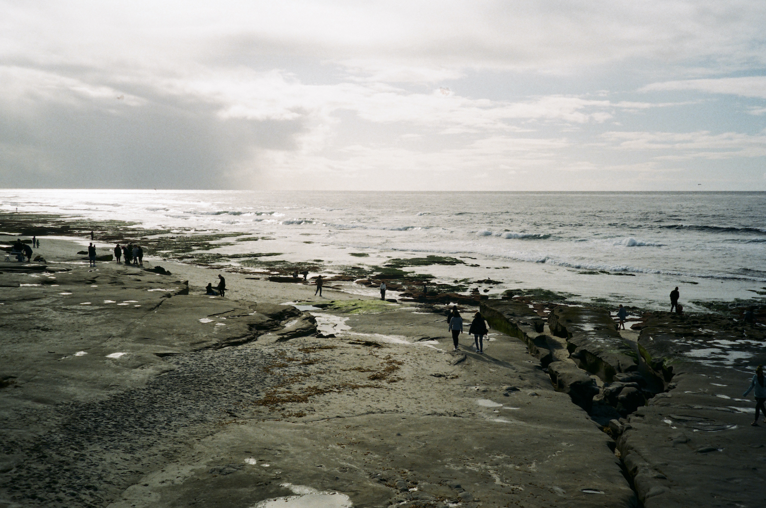 Trending NFTs: Lindsey Byrnes, EBABES, and more | OpenSea