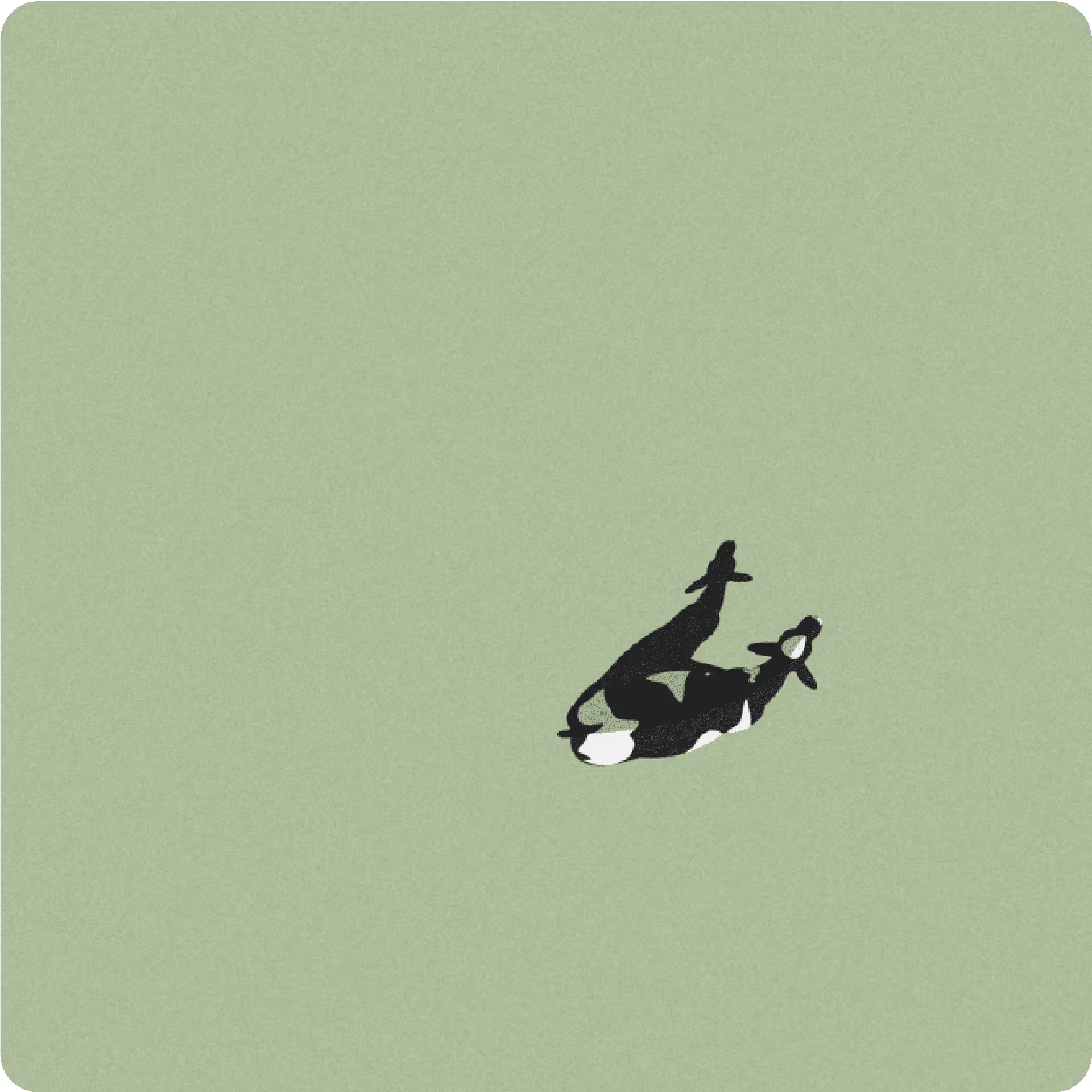 Meet Sold-Out Vector Artist Grant Yun And His ‘Cow’