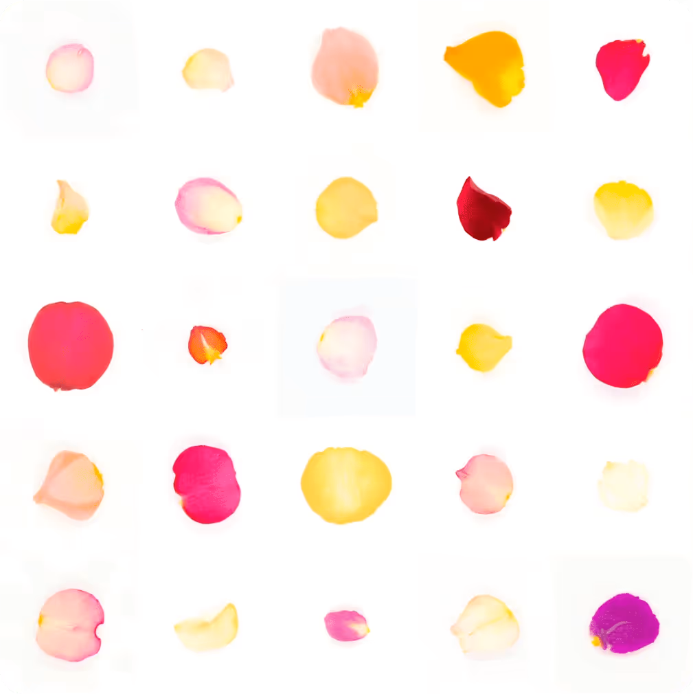 Sarah Meyohas debuts ‘Infinite Petals’ on OpenSea