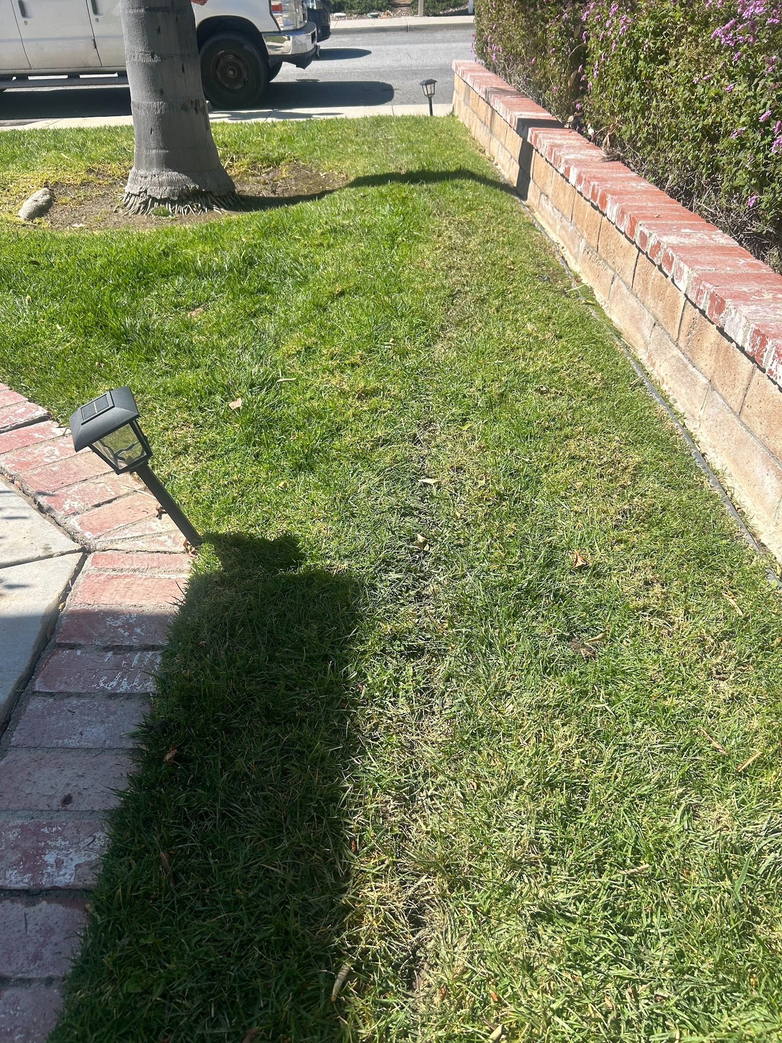 Shot of filled and restored lawn.