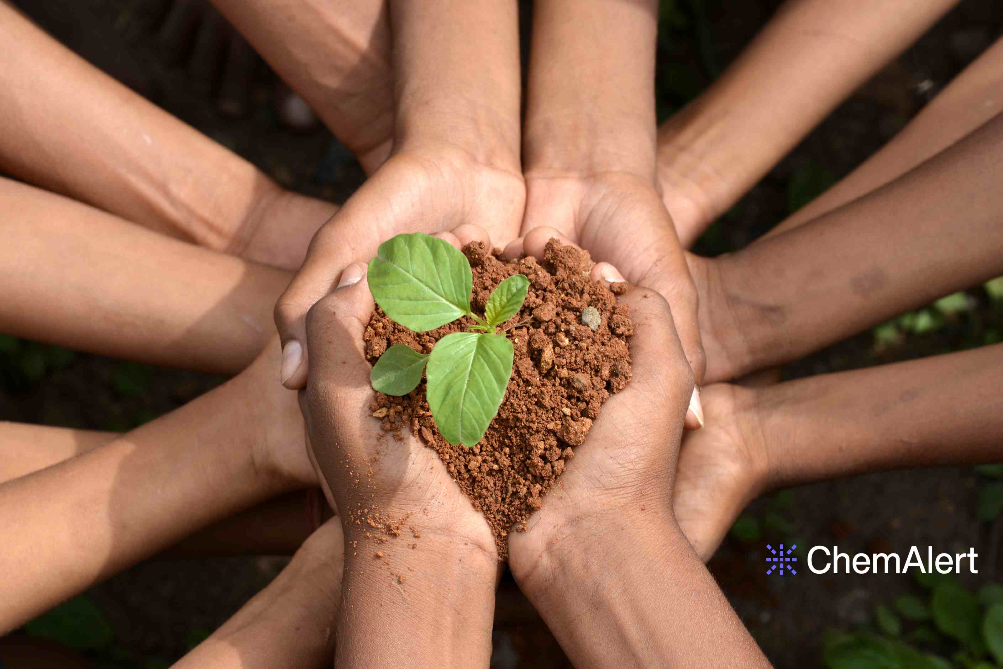 From purchase to disposal: Achieving complete chemical lifecycle management with ChemAlert