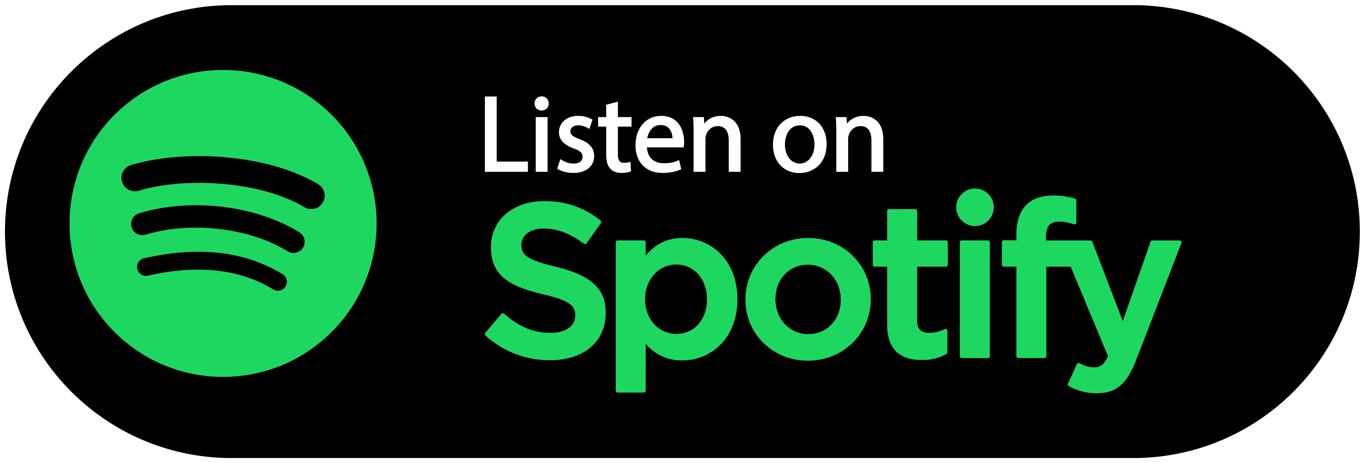 Icon Spotify