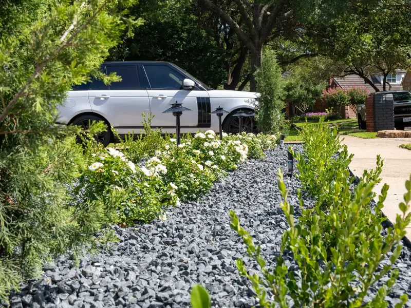landscaping around trees with rocks
