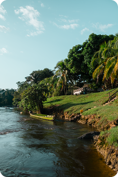 View from Botopasi, Suriname River - by Correa suriname
