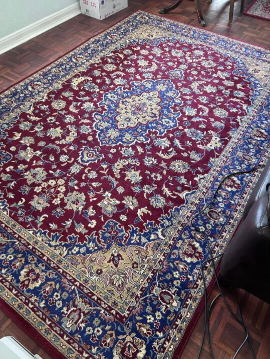 Ewe Clean rug cleaning process - freshly cleaned rug in Paisley