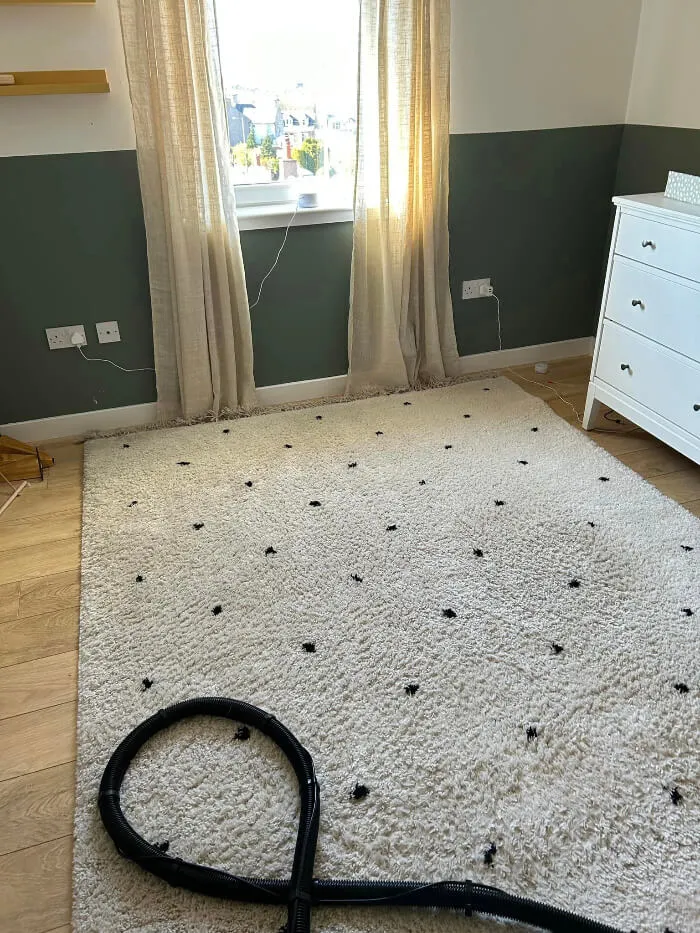 Professional rug cleaning equipment used by Ewe Clean Paisley
