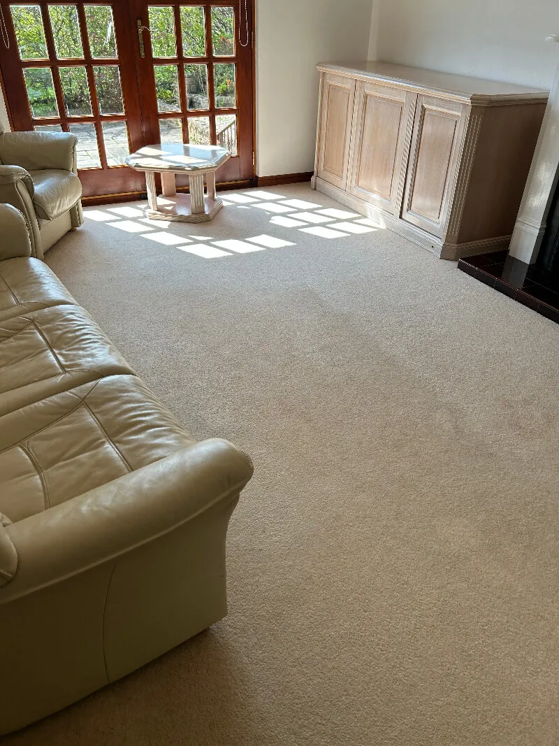 Ewe Clean carpet cleaning process - freshly cleaned carpet Paisley