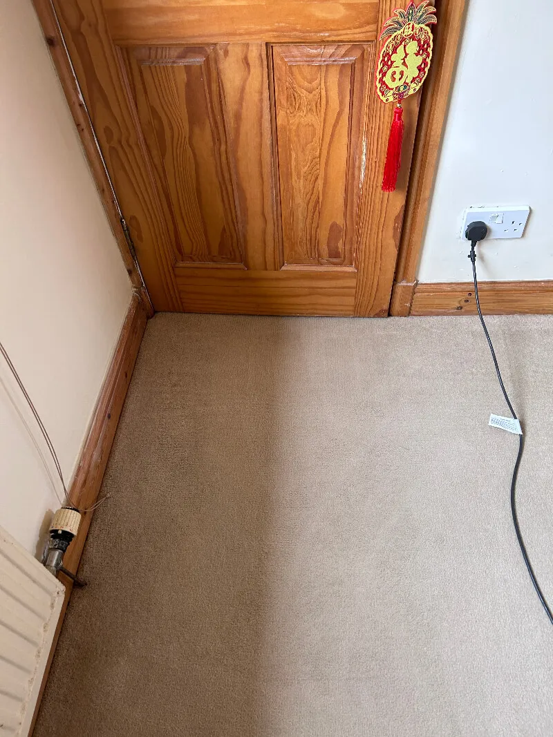 Professional carpet cleaning equipment used by Ewe Clean in Paisley