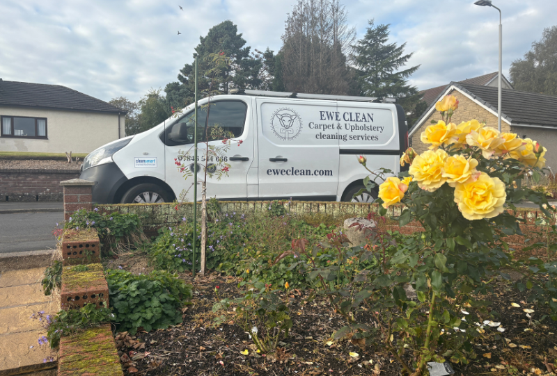 Ewe Clean carpet and upholstery cleaning services in Paisley - About Us