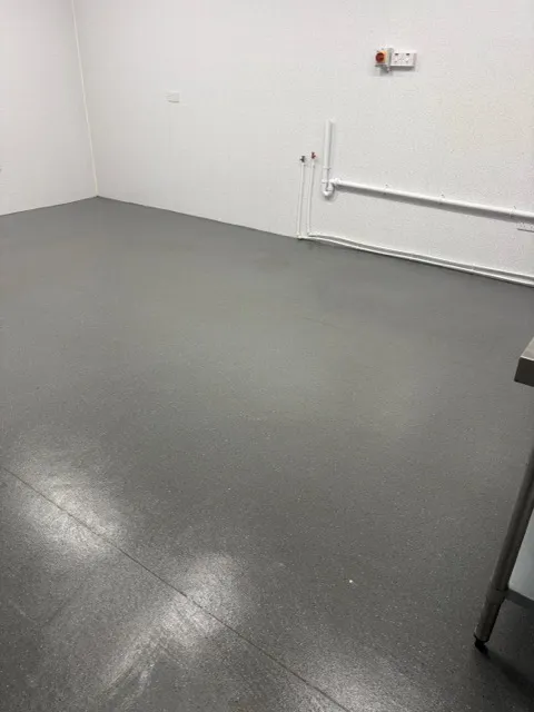 Ewe Clean carpet cleaning process - freshly cleaned carpet Paisley