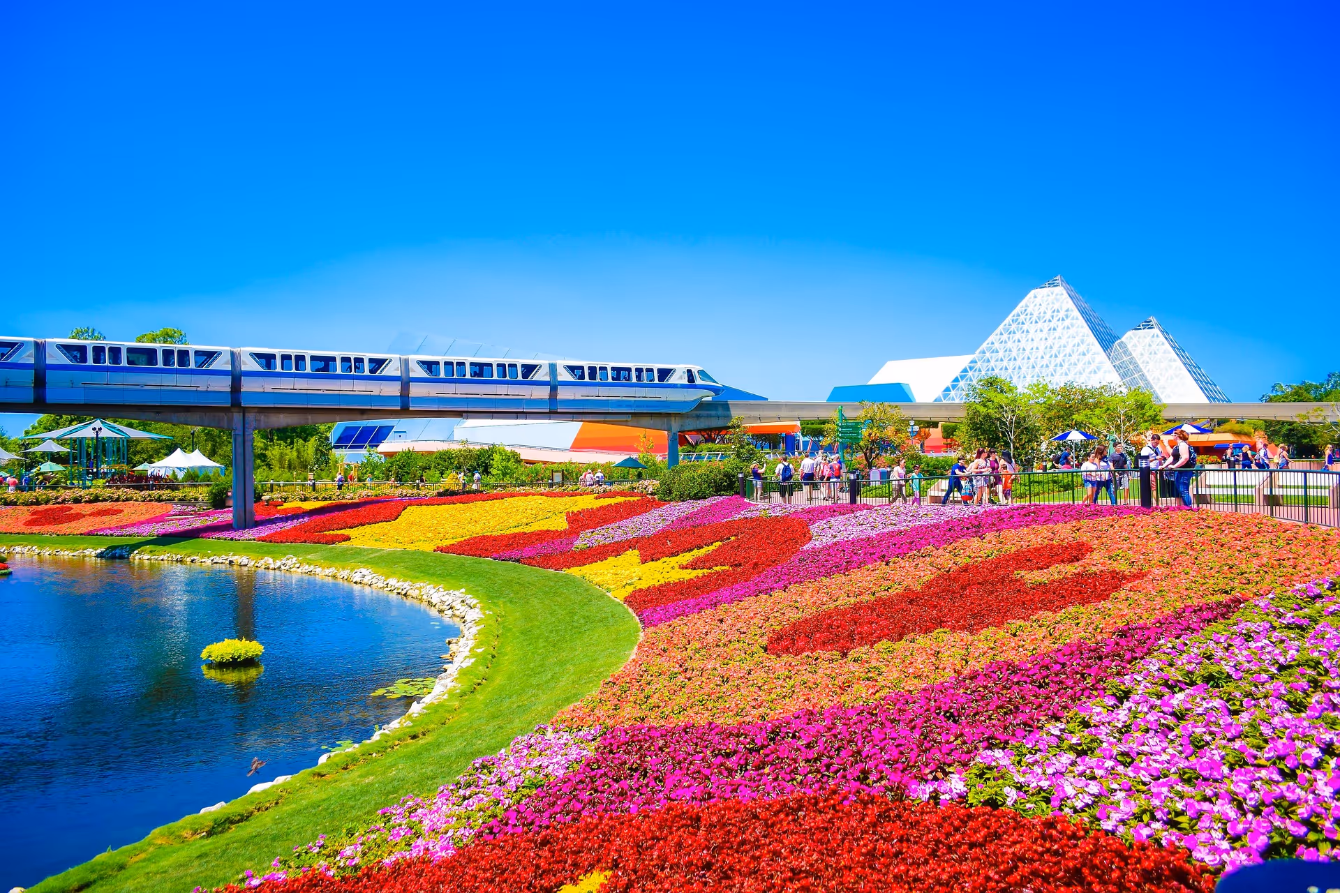 Top Spots in Orlando