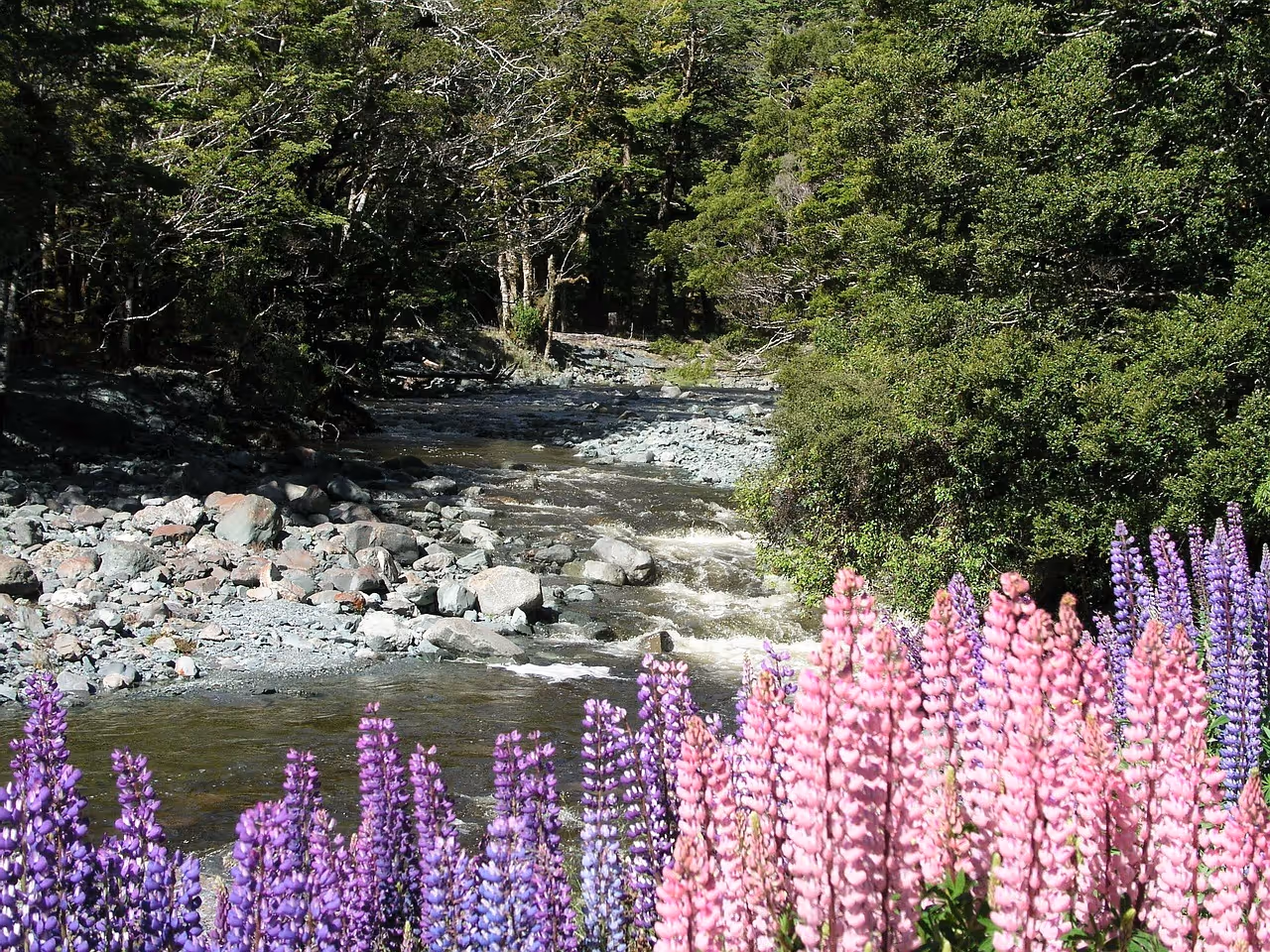 10-Day New Zealand Itinerary