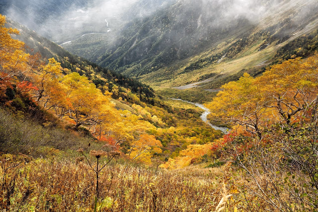  Iya Valley – Japan’s Remote Gorge Paradise
