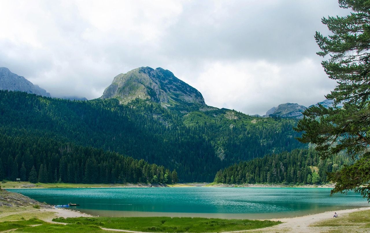 Biogradska Gora National Park – One of Europe's Last Rainforests