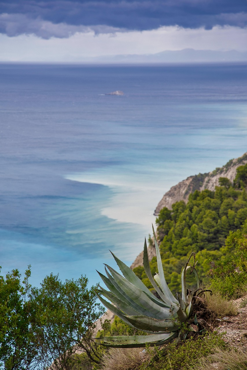 Saint-Honorat Island