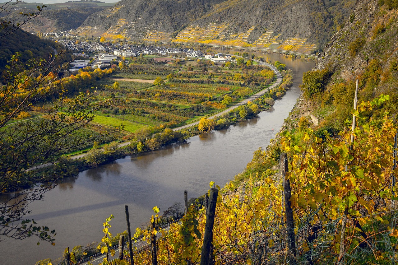 Day Trips and Scenic Escapes