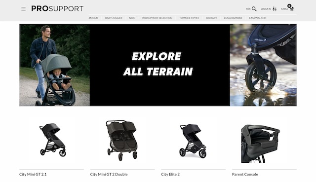 Screenshot av Pro support hemsida