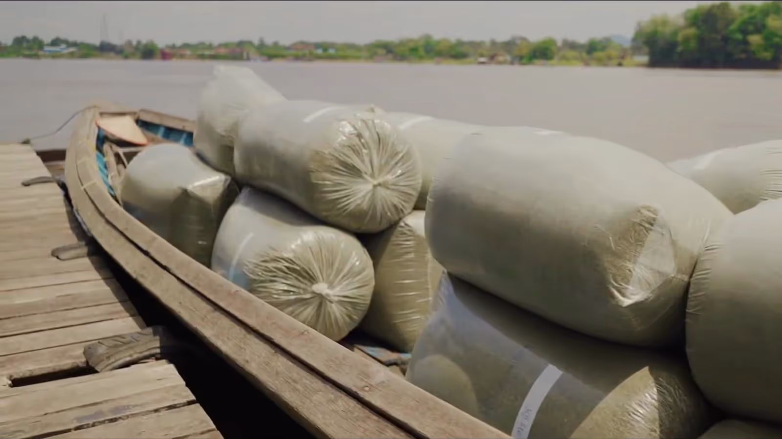 Nahaufnahme Boot mit Kratom Rohmaterial