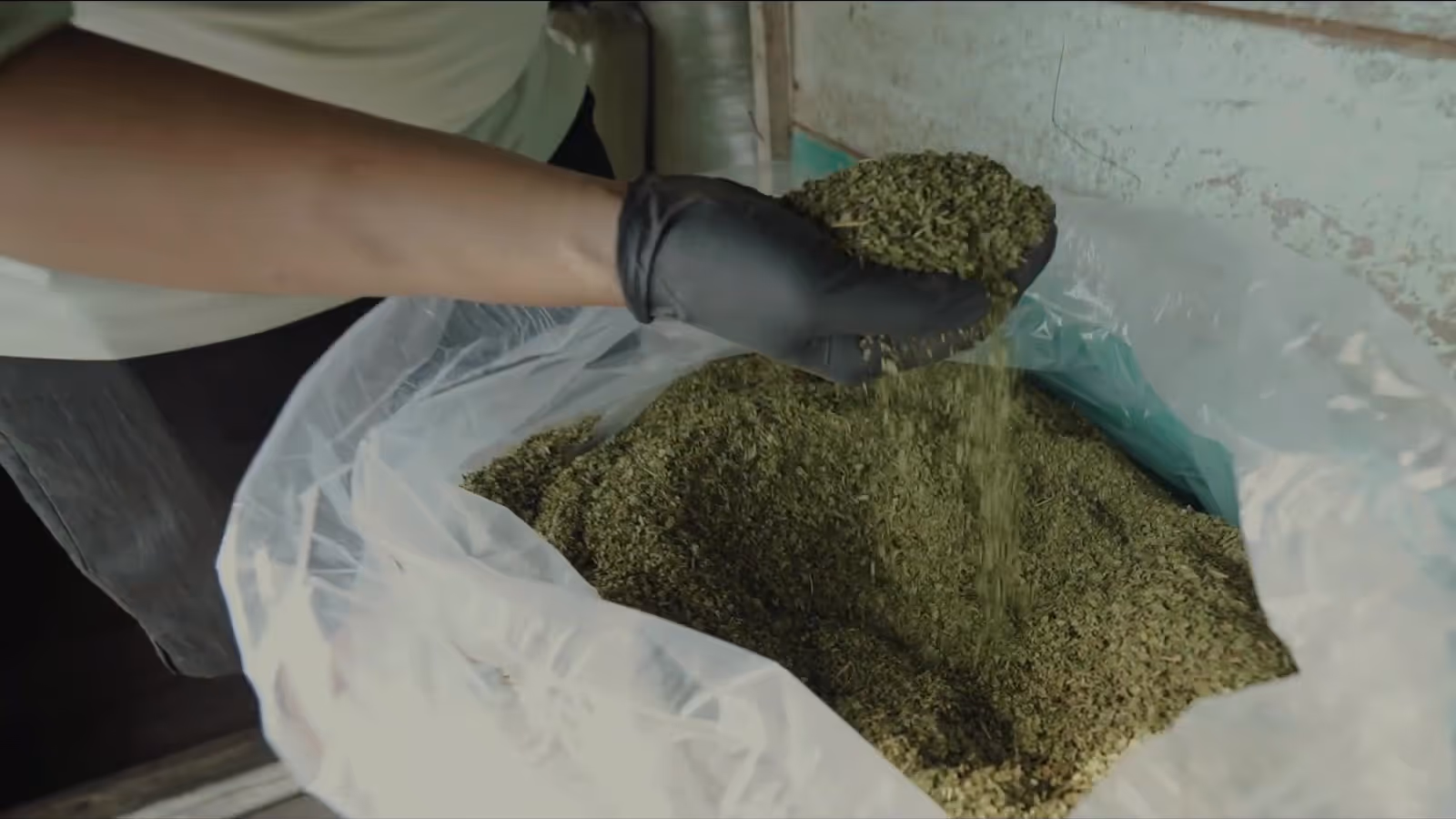 Kratom Rohmaterial