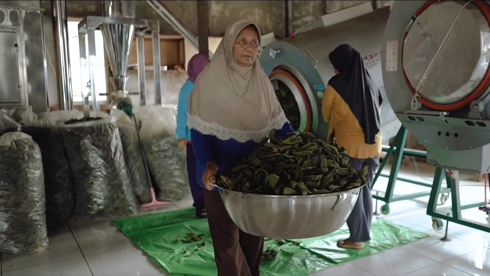 Nahaufnahme Mitarbeiterin Kratom Produktion