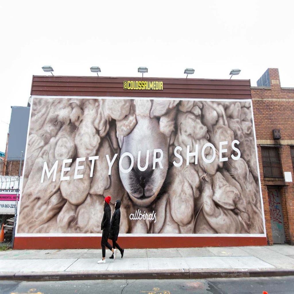 Allbirds: Meet Your Shoes project hero image