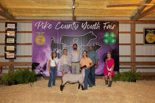 Five people posing with a sheep in a barn in front of a purple Pike County Youth Fair banner featuring FFA and 4-H logos.