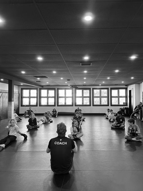 Preview image of a roundhouse youth mma class