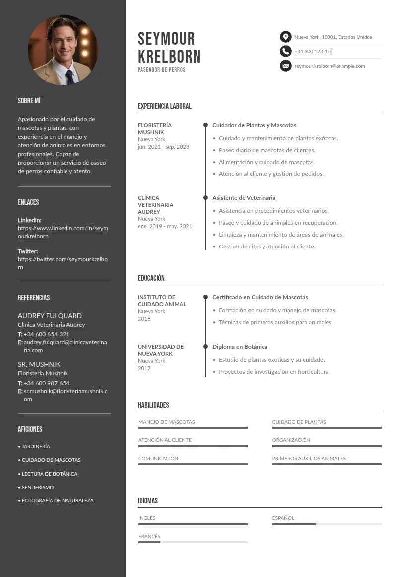 Guía para Crear un CV Atractivo para Paseadores de Perros
