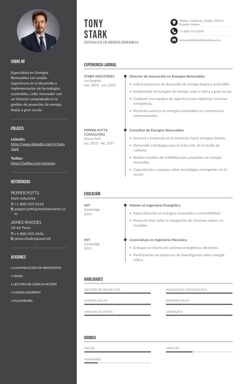 Guía para Crear un CV Eficaz para Especialistas en Energías Renovables