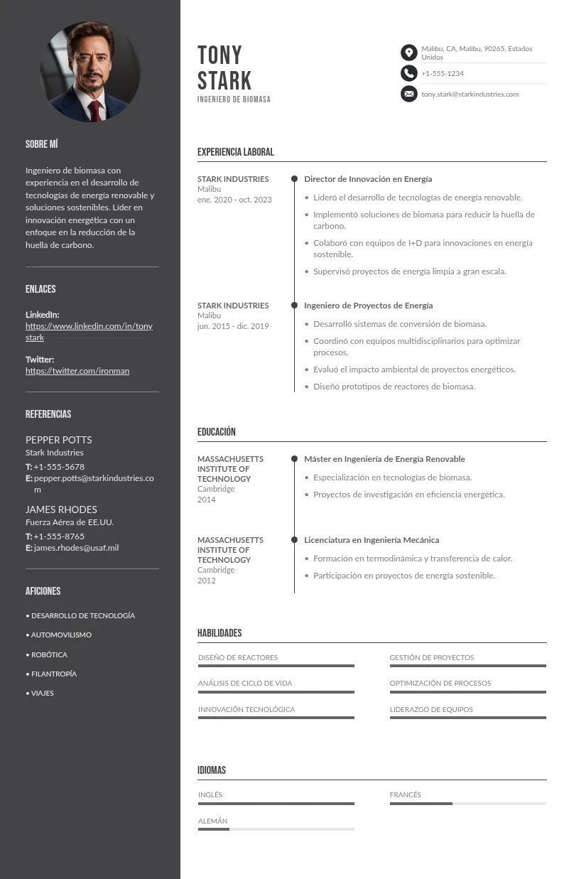 Guía Sencilla para Crear un CV Impactante para Ingenieros de Biomasa