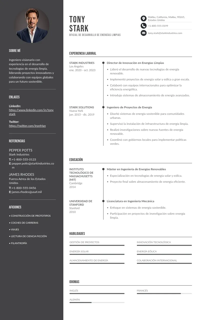 Guía para Elaborar un CV para Oficial de Desarrollo de Energías Limpias: Plantilla y Consejos Prácticos