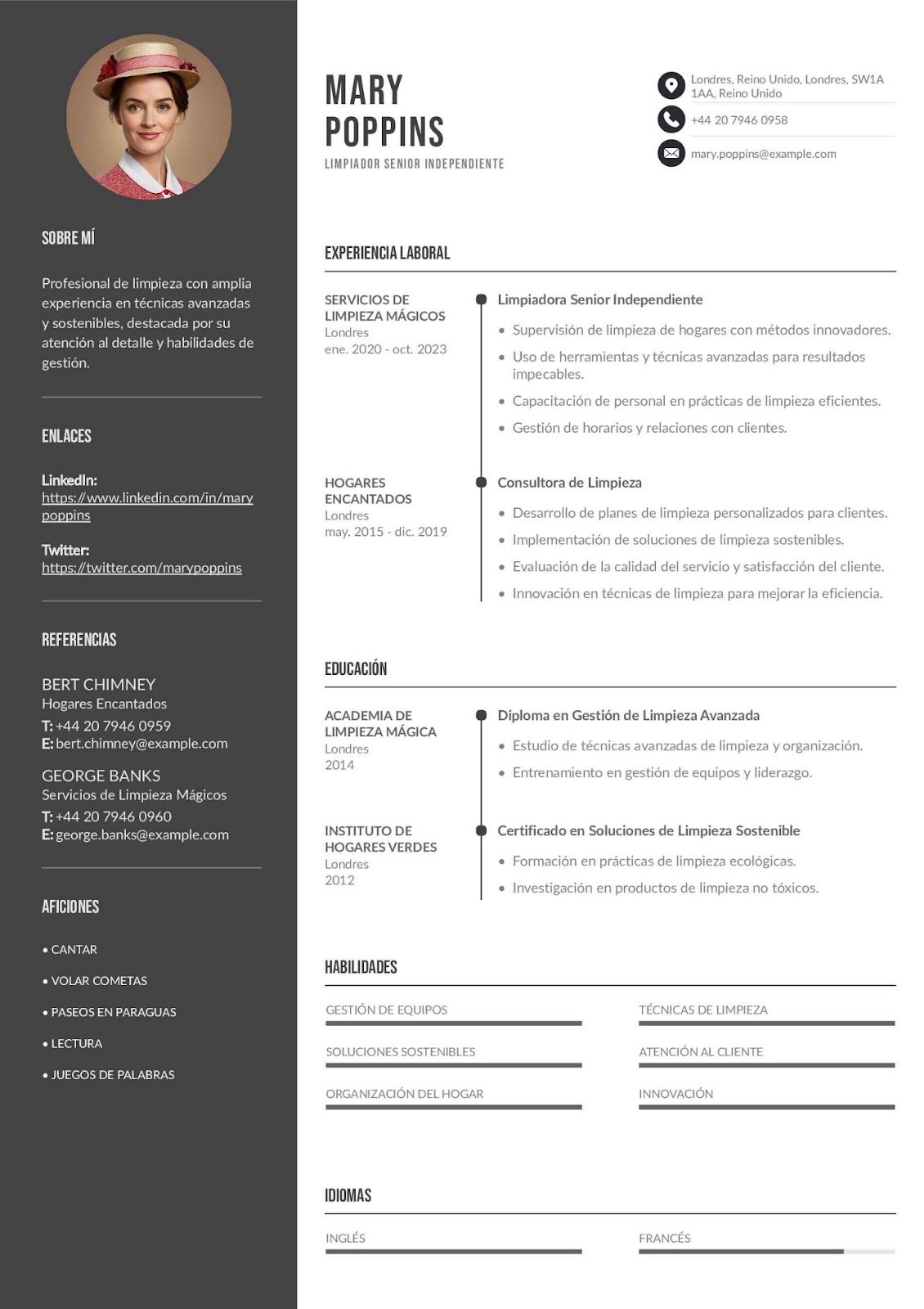 Currículum de limpiador independiente