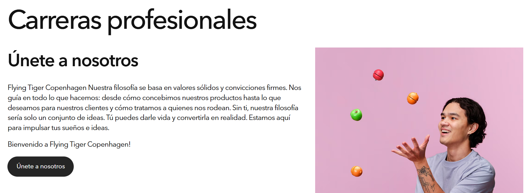 Cabera de la página web de empleo de Flying Tiger
