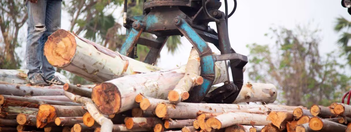 5 Steps to Estimate a Lumber Takeoff