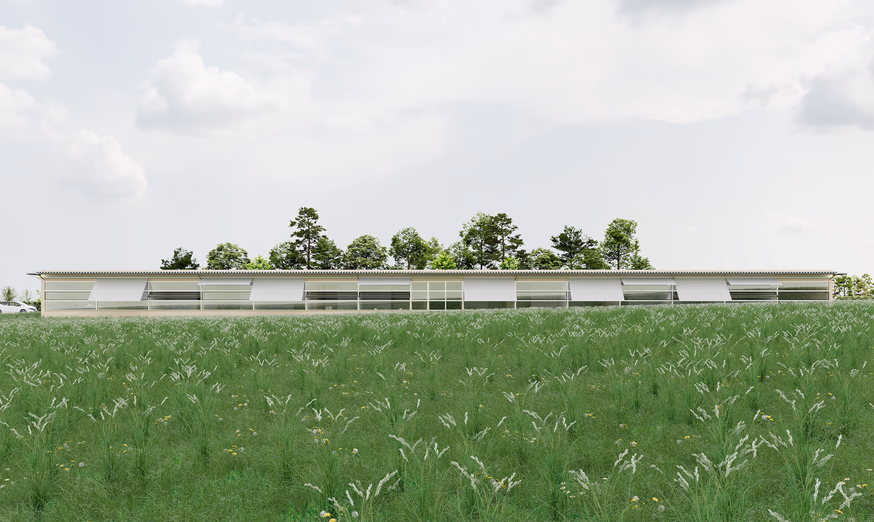 Rendering Aussenraum Ersatzneubau Demenzhaus Rosenhügel, Hochdorf 'Eternal Sunshine'