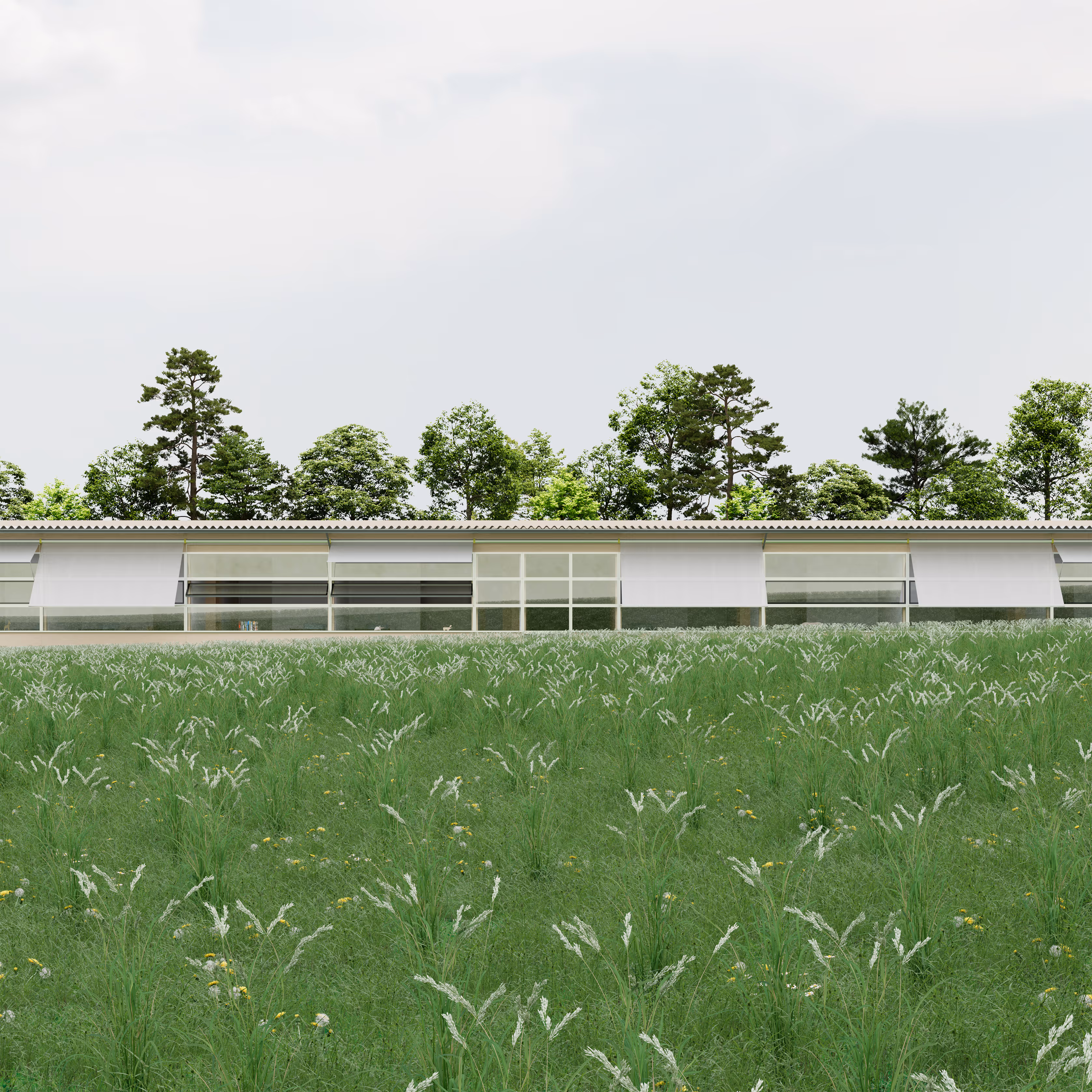 Thumbnail Rendering Aussenraum Ersatzneubau Demenzhaus Rosenhügel, Hochdorf 'Eternal Sunshine'