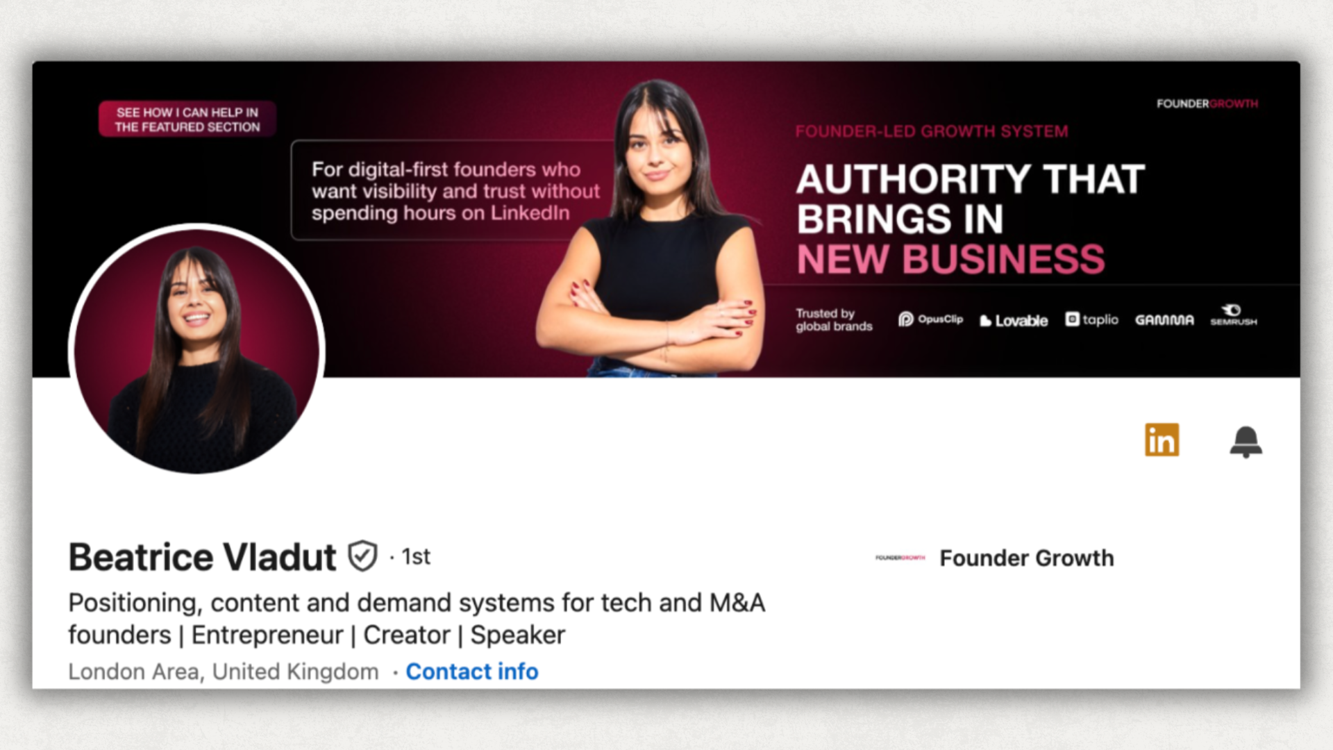 beatrice vladut linkedin profile