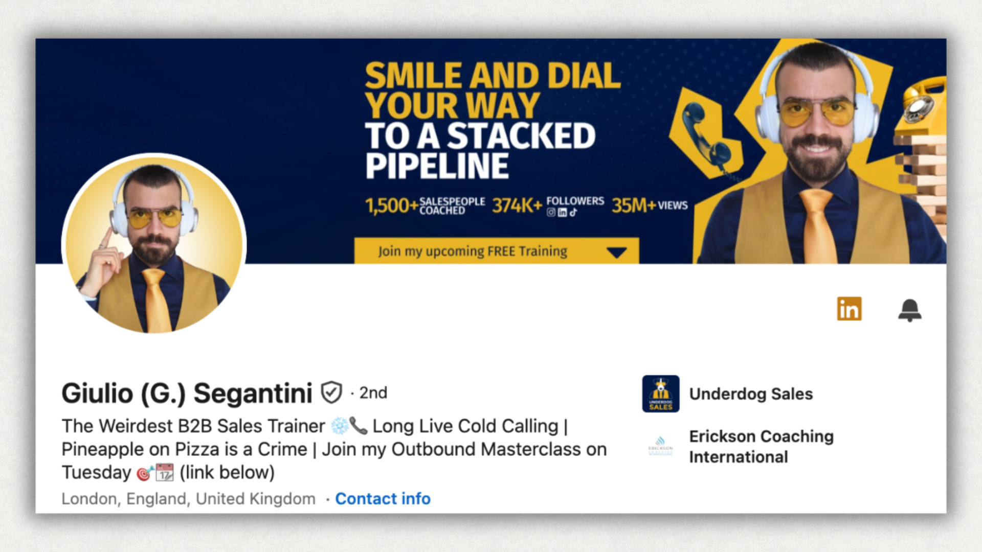 giulio segantini linkedin profile