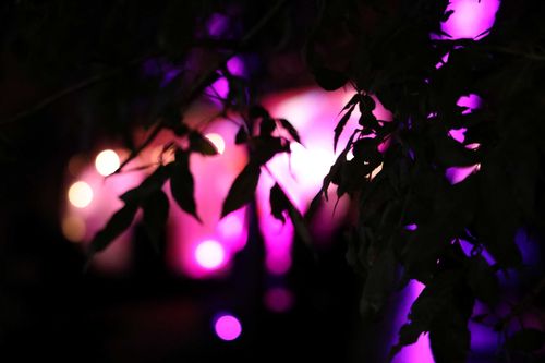 Nuit Blanche à St. Boniface
