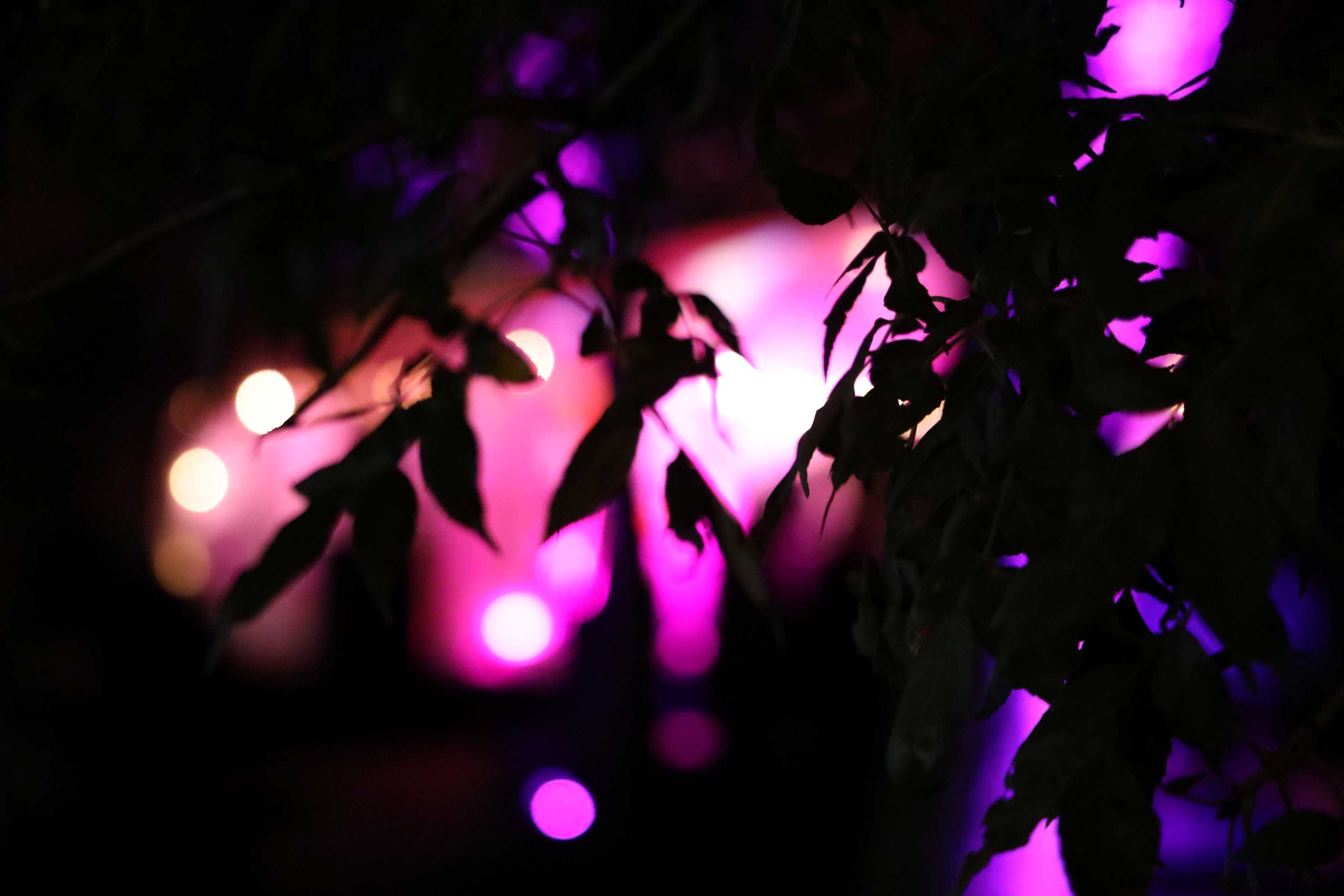 Nuit Blanche à St. Boniface