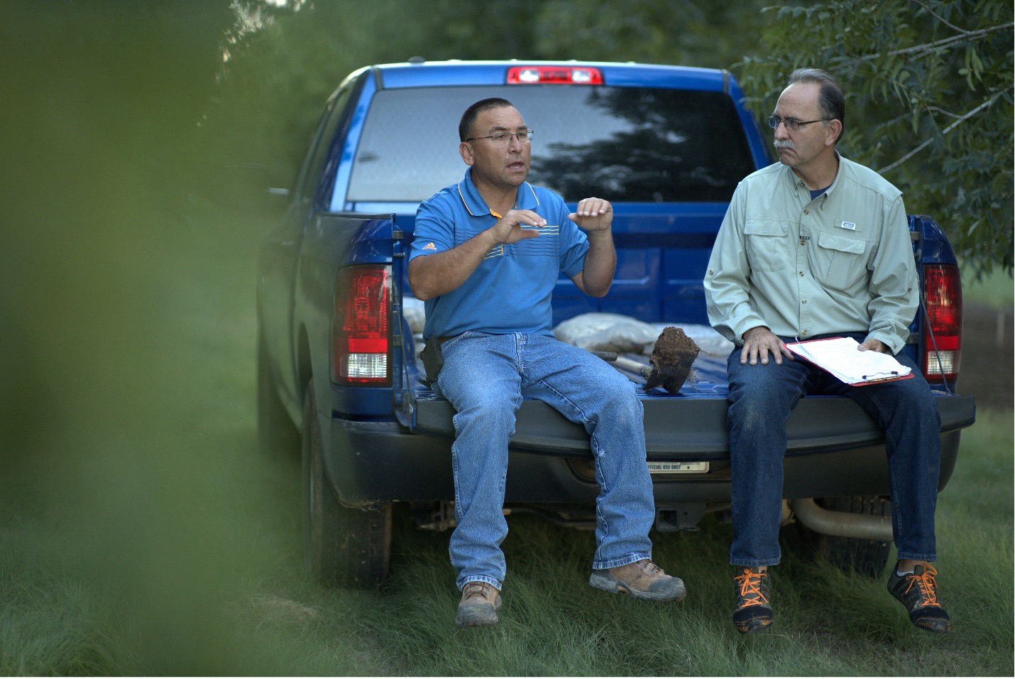 Weed-Free Without Chemicals: How Native Perennials Are Outcompeting Invasives