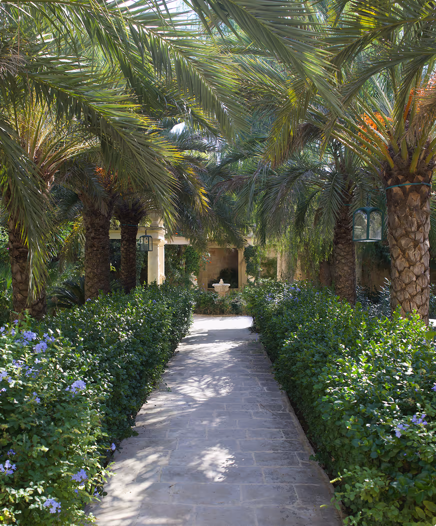 Stone pathway lined with green bushes and purple flowers under arching palm trees leading to a fountain and stone columns.