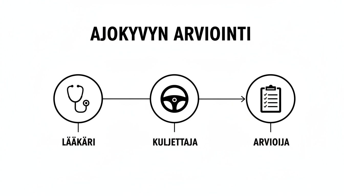 Kaavio esittää ajokyvyn arviointiprosessia, johon kuuluvat lääkäri, kuljettaja ja arvioija.