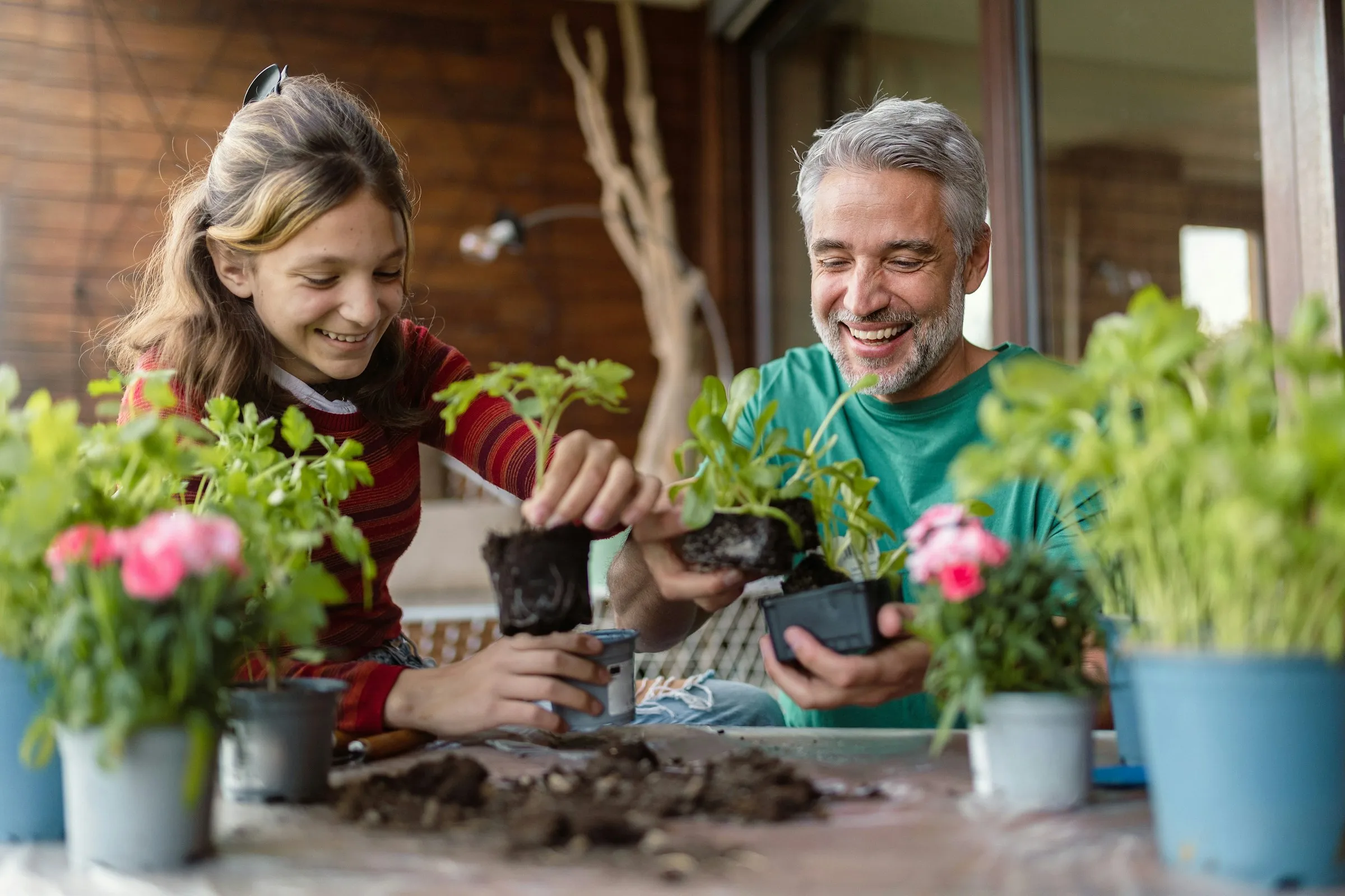 A teen girl and her father pot seedlings together on a home patio.