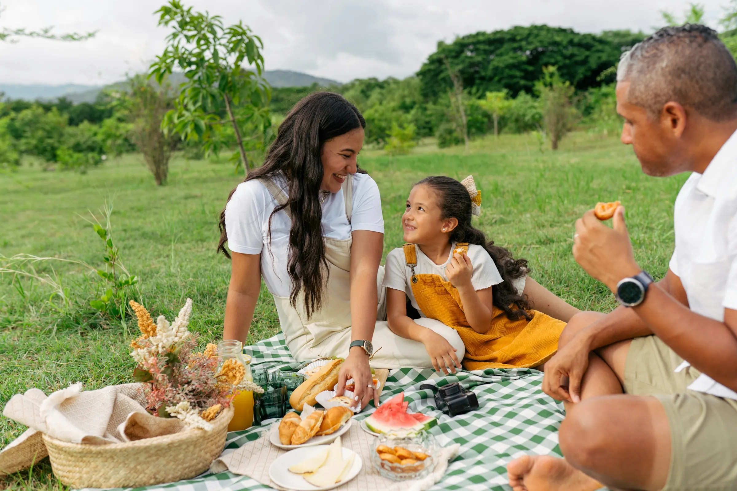 A family shares a picnic on the grass.