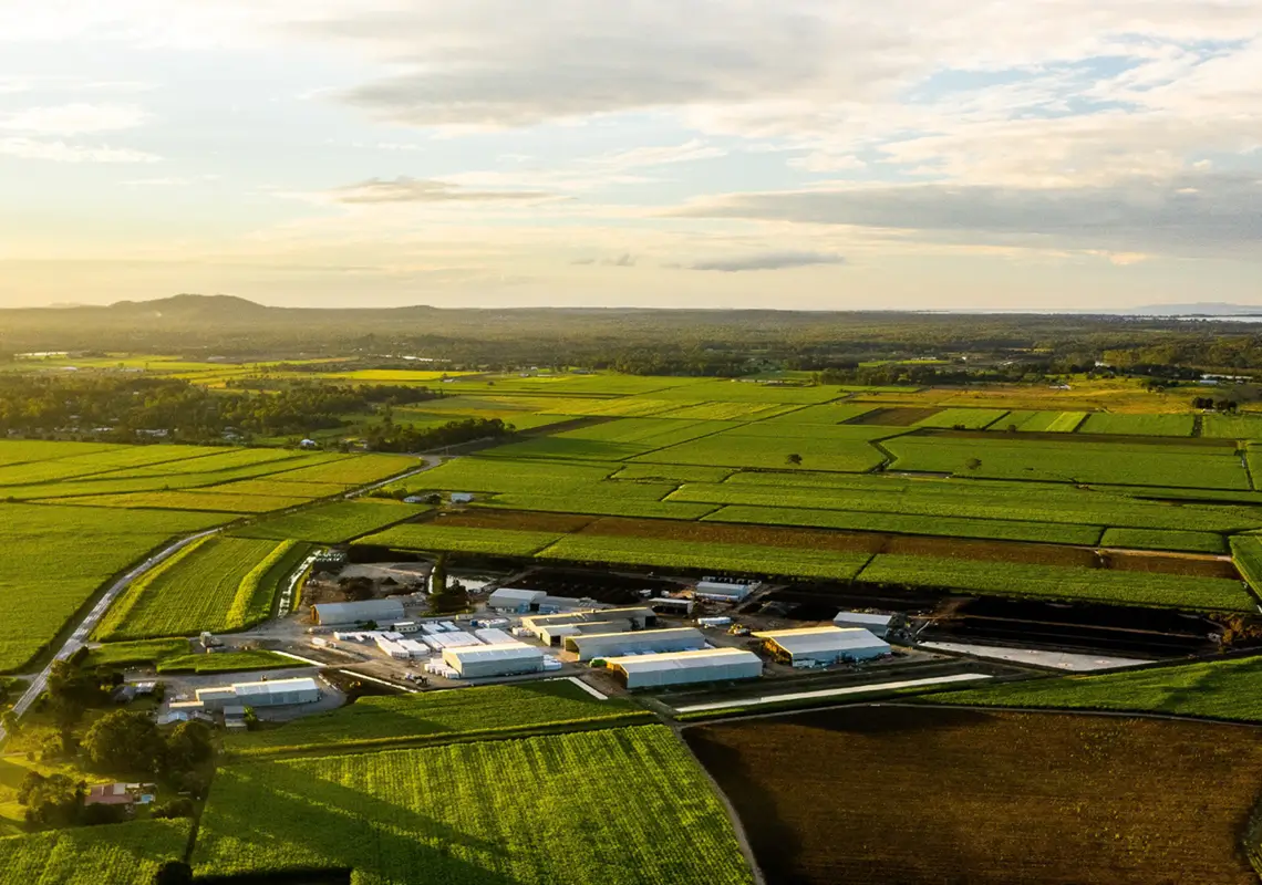 A sprawling farm, painted with hues of bright green and rich earthy brown, stretches across the landscape. In the distance, majestic low mountains rise above the horizon, their peaks shrouded in a veil of misty green.